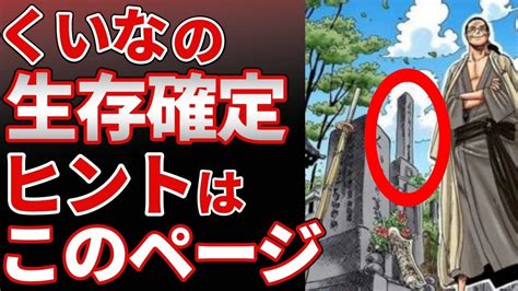 【ワンピース】くいなは革命軍で生きてる？その後や。